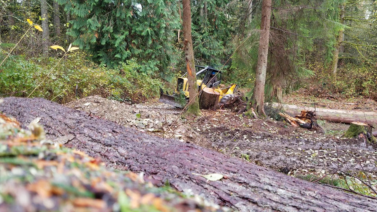 skidder action
