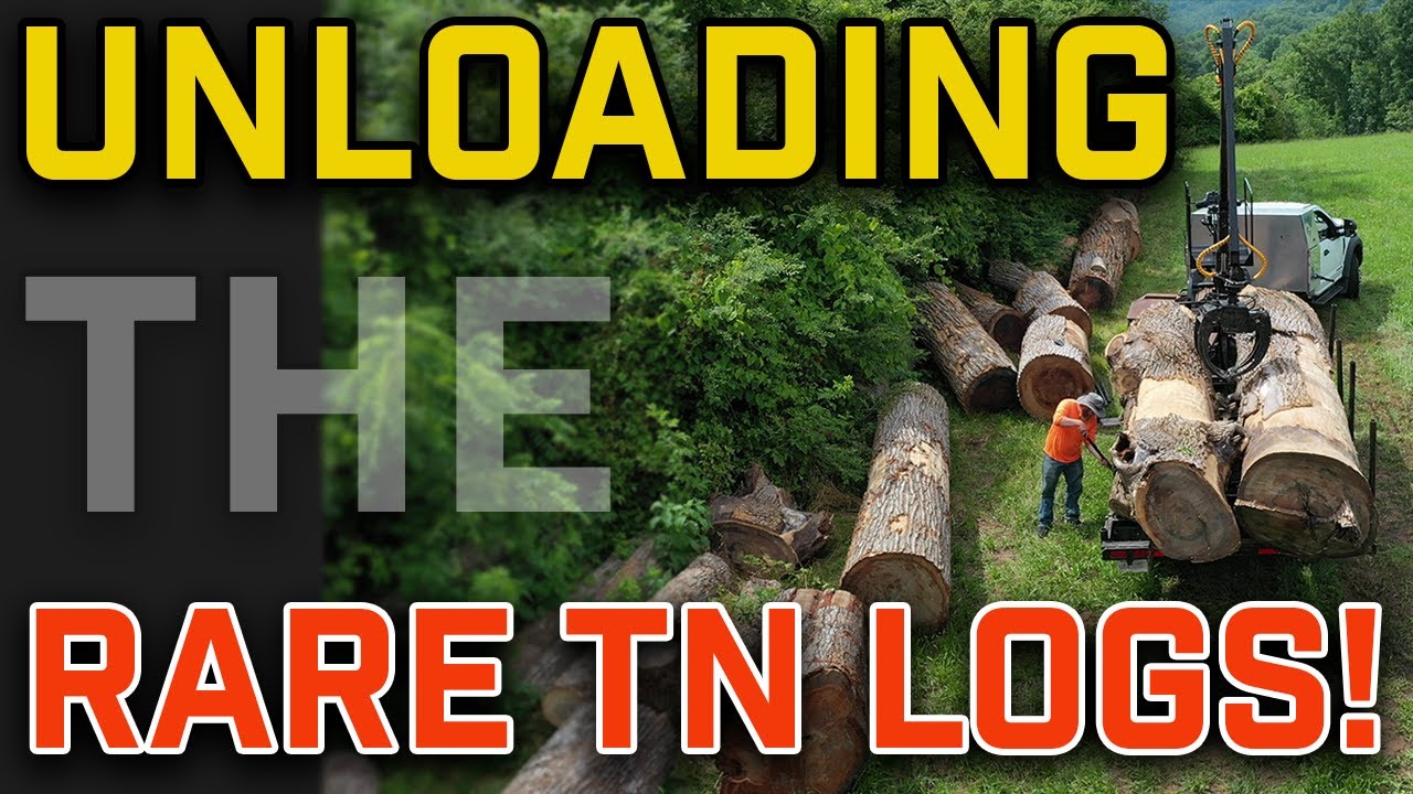 Grapple Trailer: Unloading Rare TN Logs
