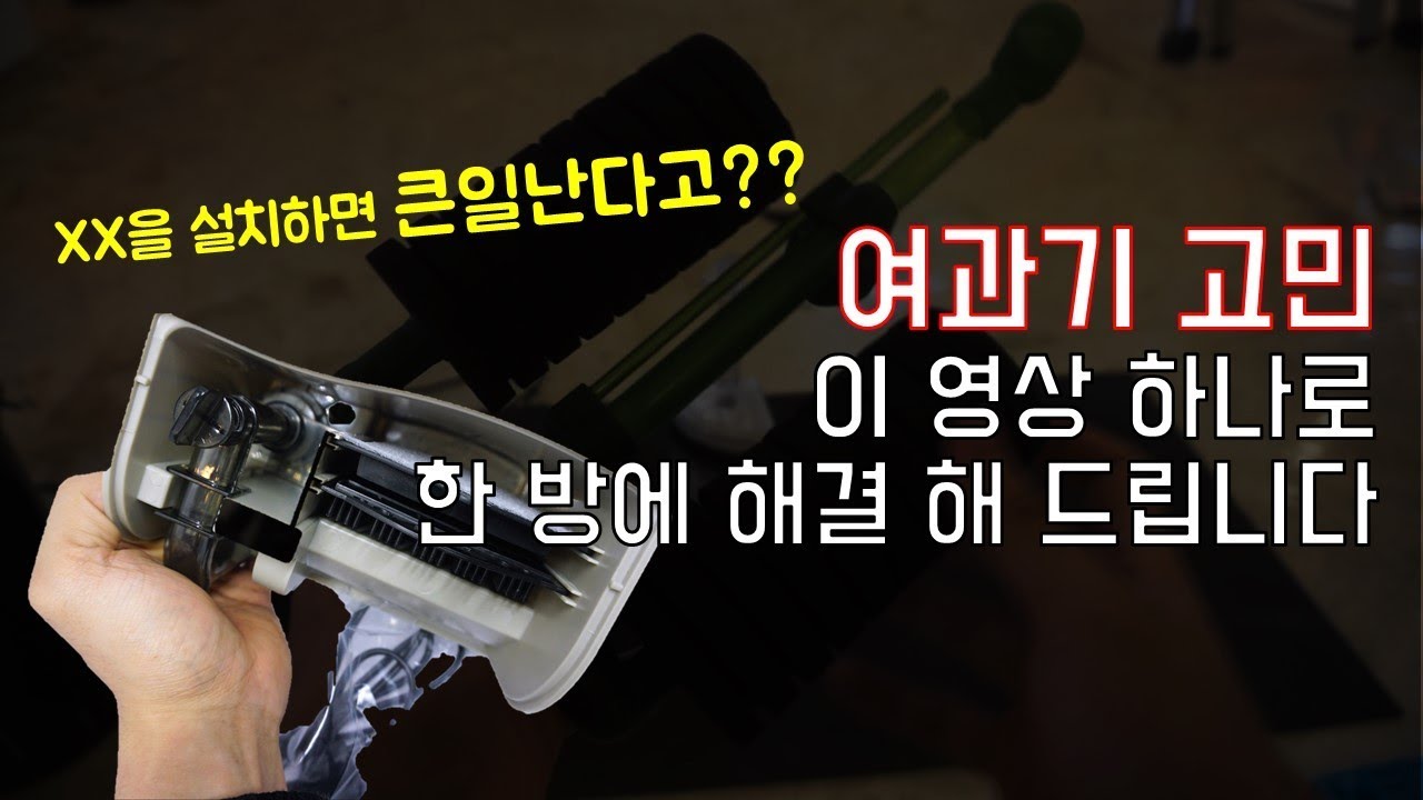 스펀지 여과기? 외부여과기? 물생활 여과기 무엇을 선택해야 할까?