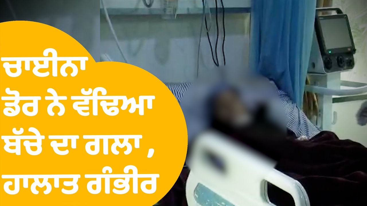 Shocking Incident in Jalandhar | ਚਾਈਨਾ ਡੋਰ ਨੇ ਵੱਢਿਆ ਬੱਚੇ ਦਾ ਗਲਾ ,ਹਾਲਾਤ ਗੰਭੀਰ | Punjab Tak