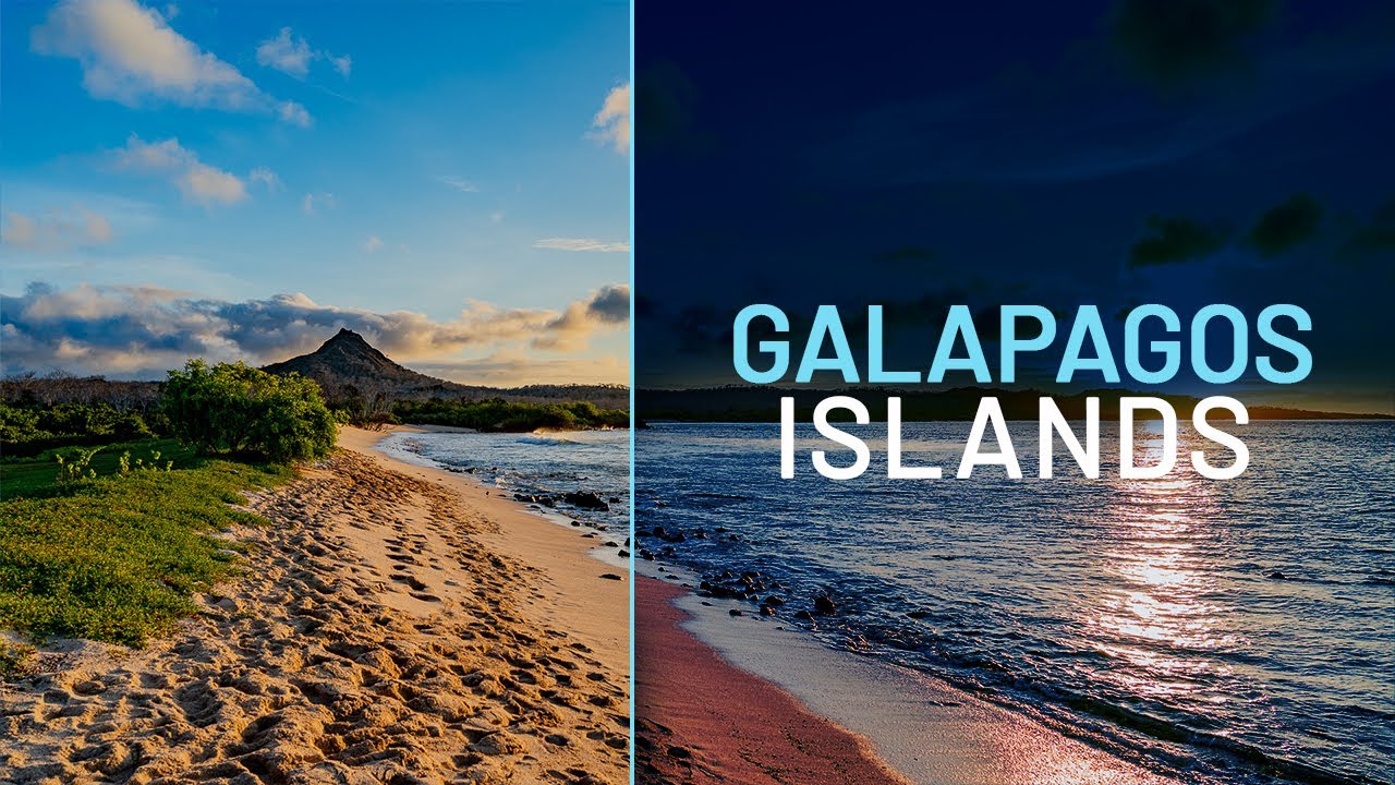 The Ultimate Galapagos Islands Travel Guide
