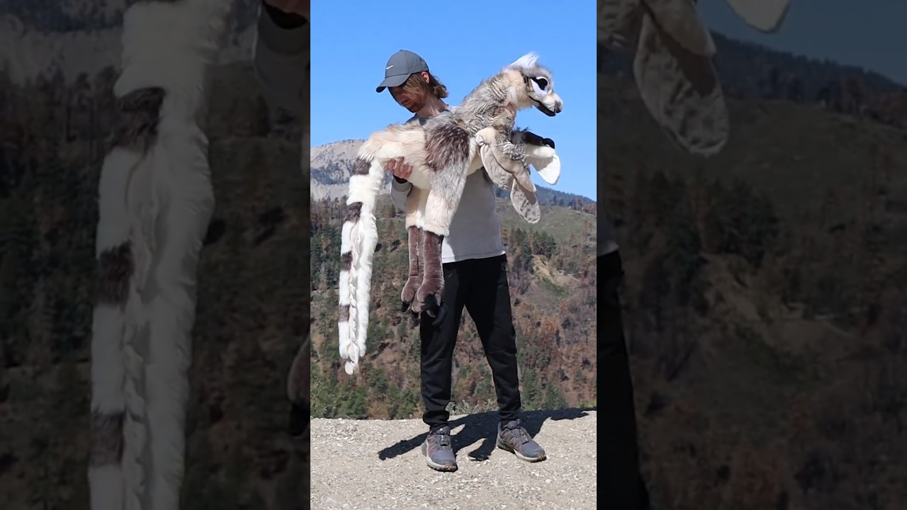 Making the biggest Velociraptor Plushie! #customplush #furry