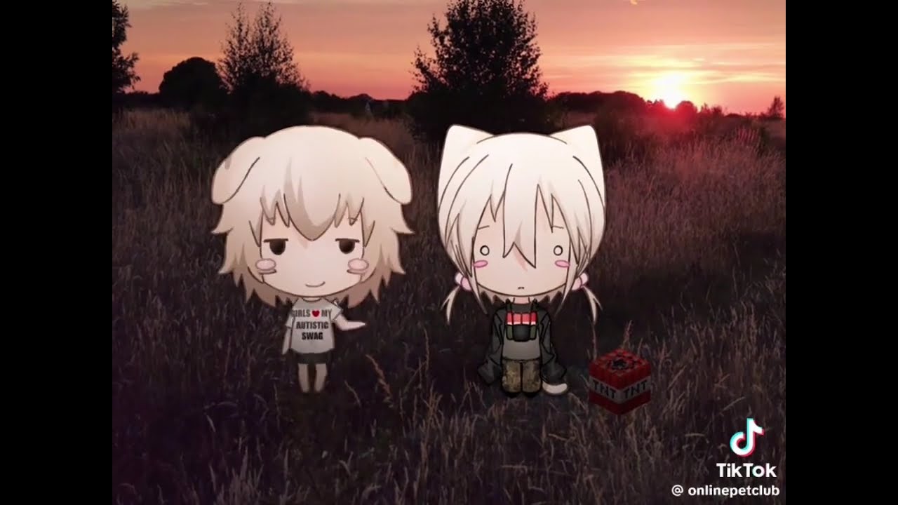 Wanwan & Nyanko TikTok Compilation￼ Mwehehe ▼♡♡♡♡￼