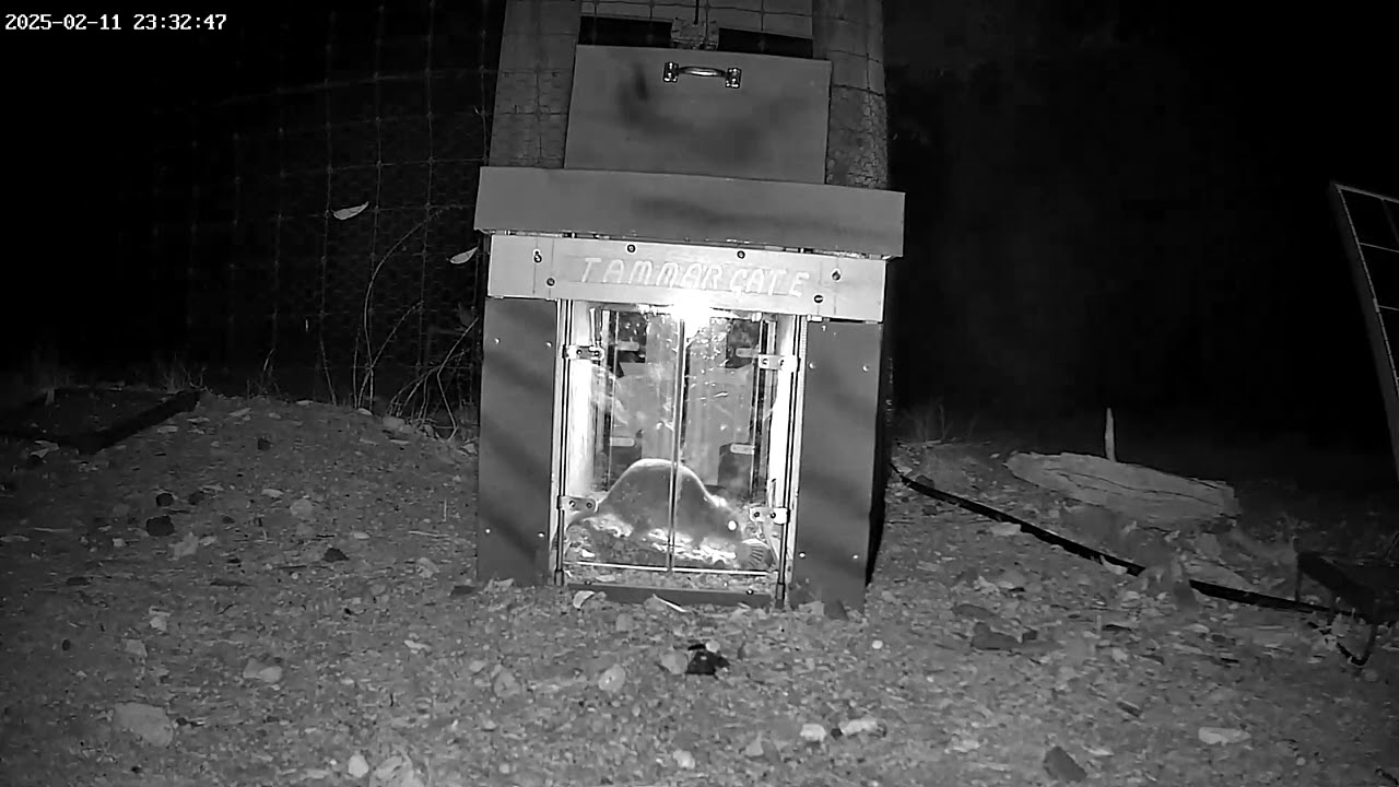 Cutting-edge AI technology to protect Australian wildlife