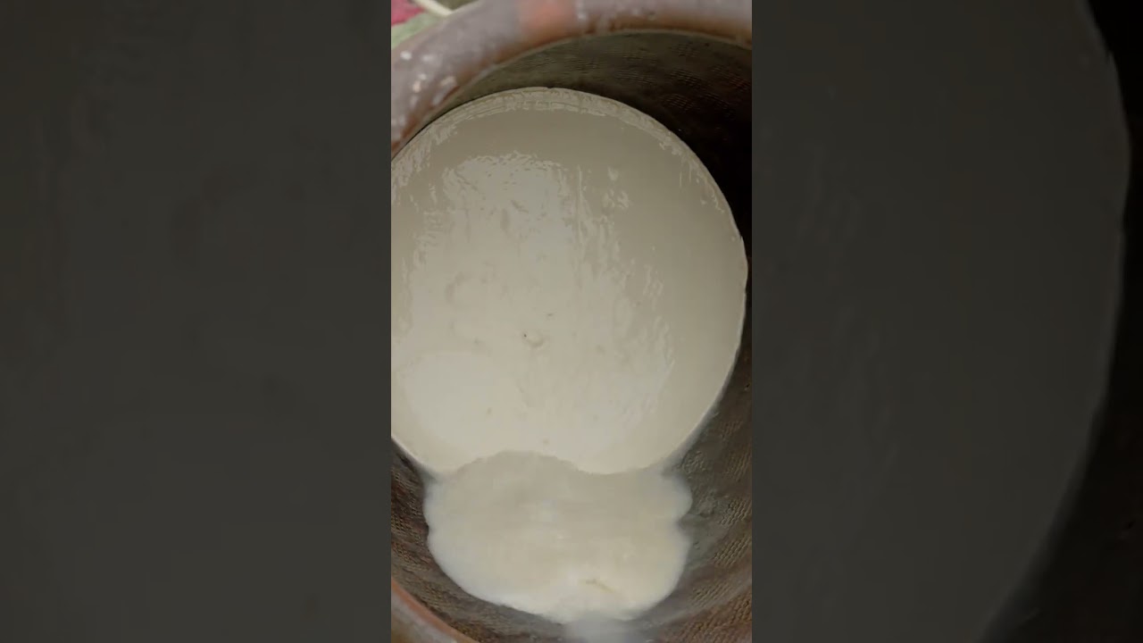 不是我吹，我做的咖喱牛肉细粉真的到了出摊级别#红薯粉条 #乡村生活家 #在抖音打开向往的生活 #一眼望去皆是人间烟火