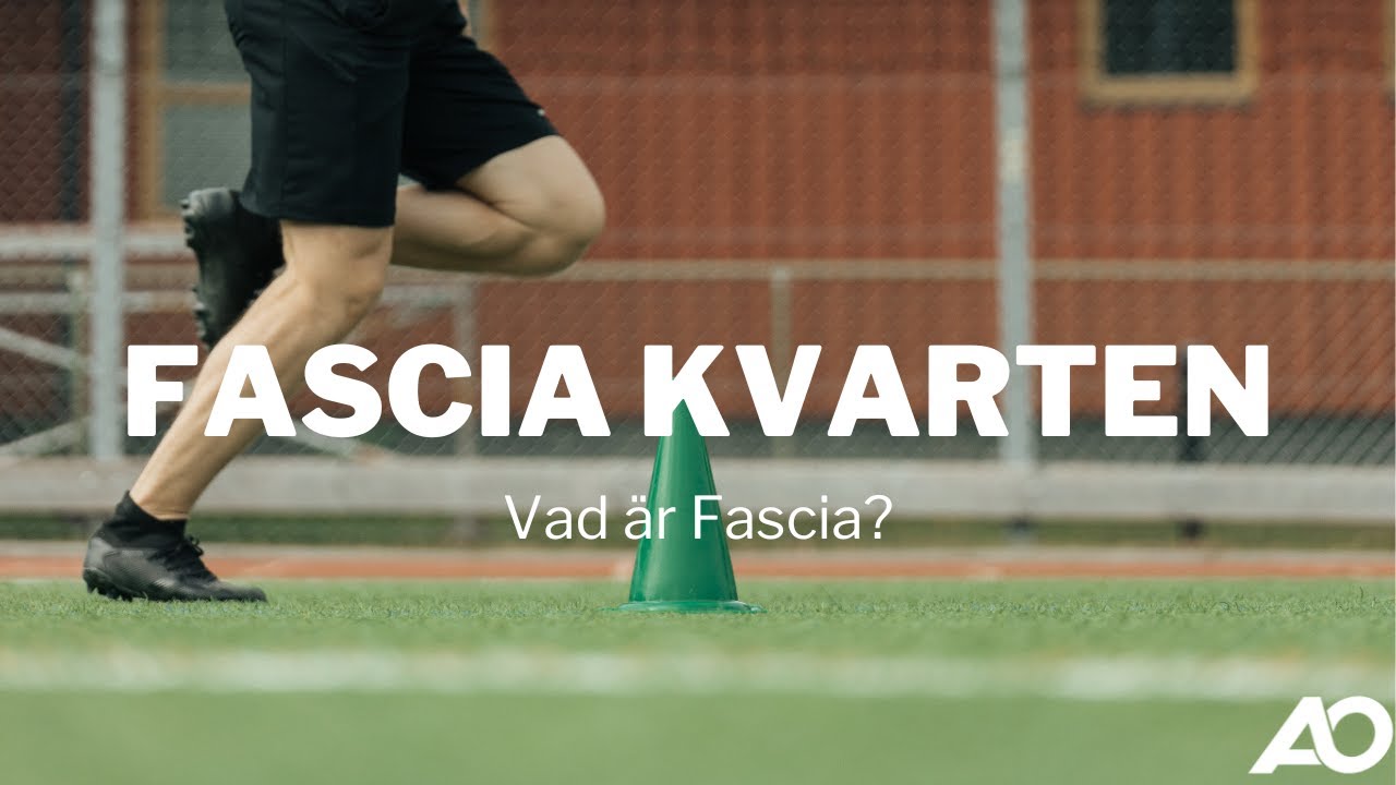 Vad är fascia och hur fungerar det? | Fascia Kvarten med AO Performance