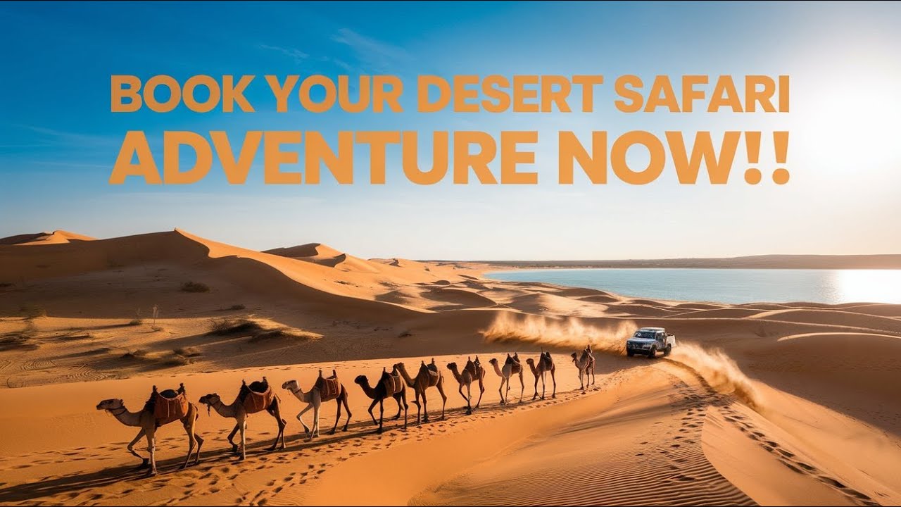 Ultimate Desert Safari Adventure in Qatar | Camel Ride, Dune Bashing & Inland Sea Experience