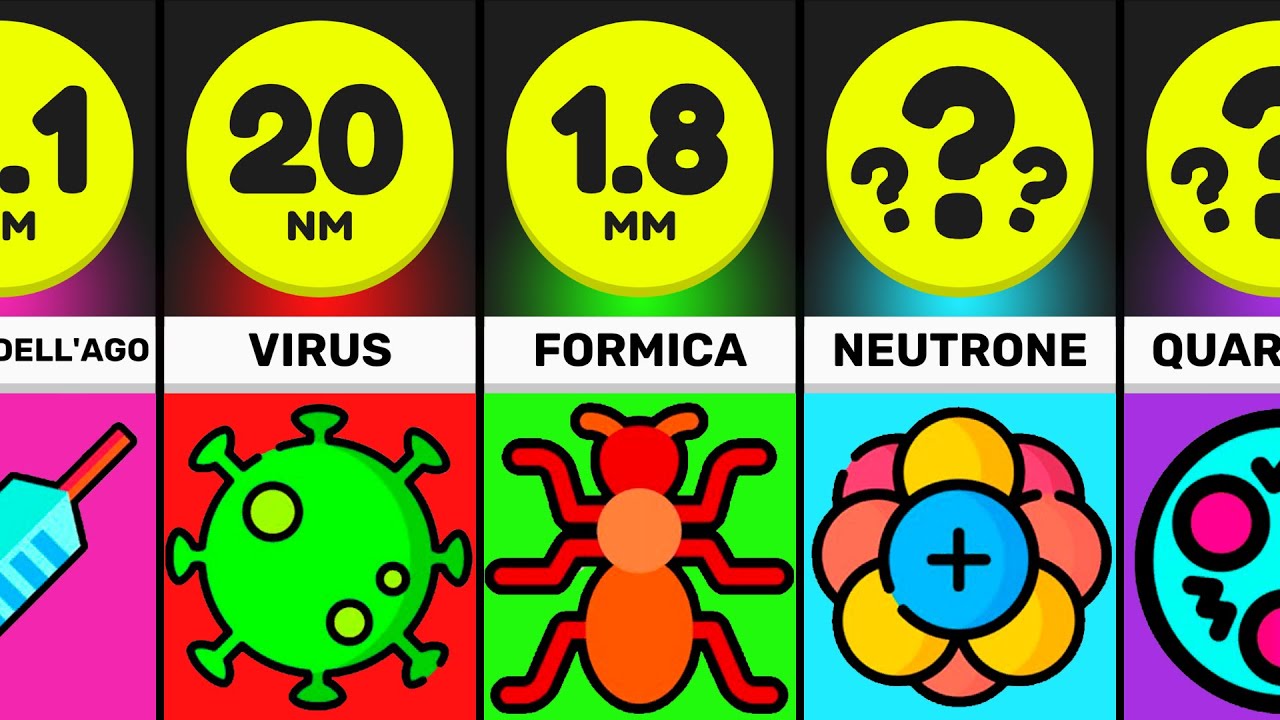 Confronto: Le Cose Più PICCOLE Nell’Universo