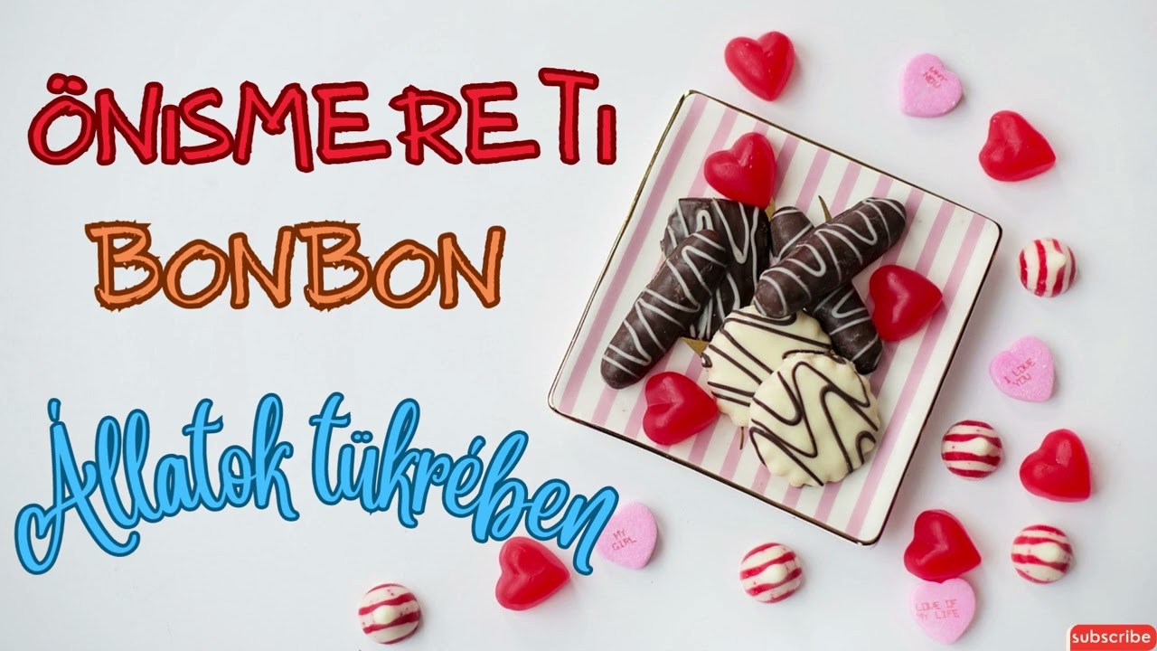 ÖNISMERETI BONBON - ÁLLATOK TÜKRÉBEN