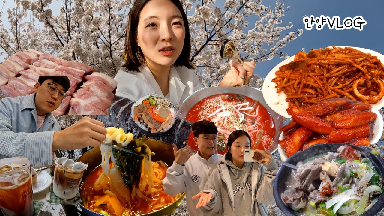 [오징어보쌈편] 벚꽃 터졌다🌸╰(*°▽°*)╯안양 먹방브이로그(순대국,안양중앙시장,김밥,떡볶이,충훈 벚꽃길, 항정껍데기,냉칼국수, 열무국수,핫도그) MUKBANG VLOG