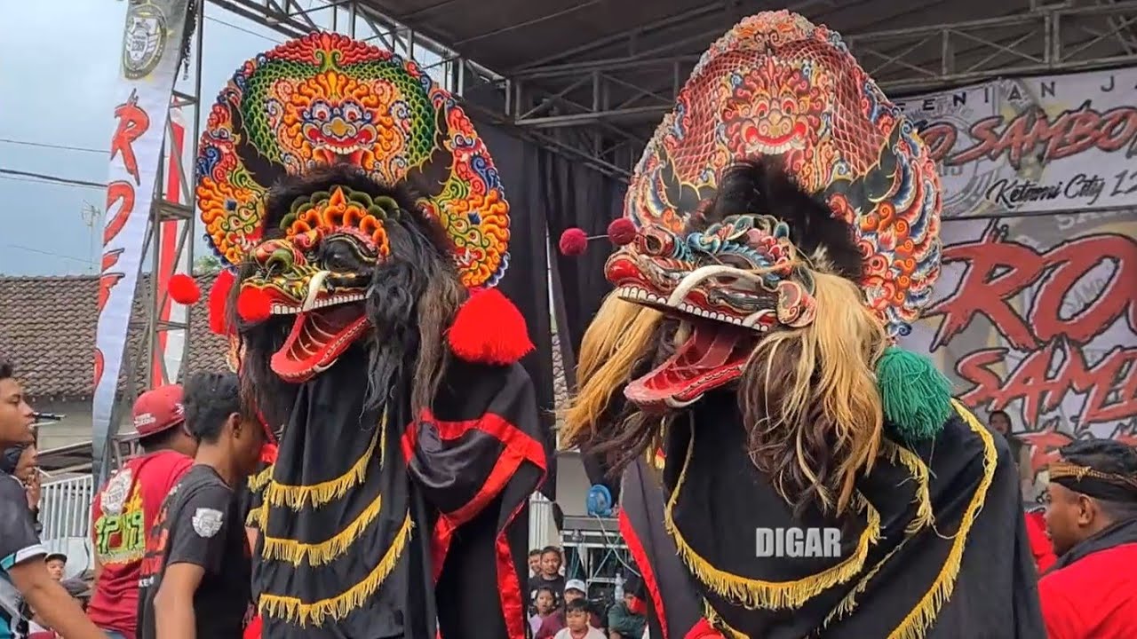 Bajang, Cemara, Rampak Barongan Jaranan Rogo Samboyo Putro Live Medowo