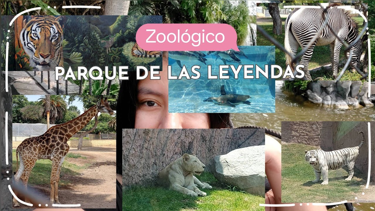 Visite uno de los MEJORES ZOOLOGICOS de latinoamerica. 🙈🦓🦒🐧🦛🐪🐅