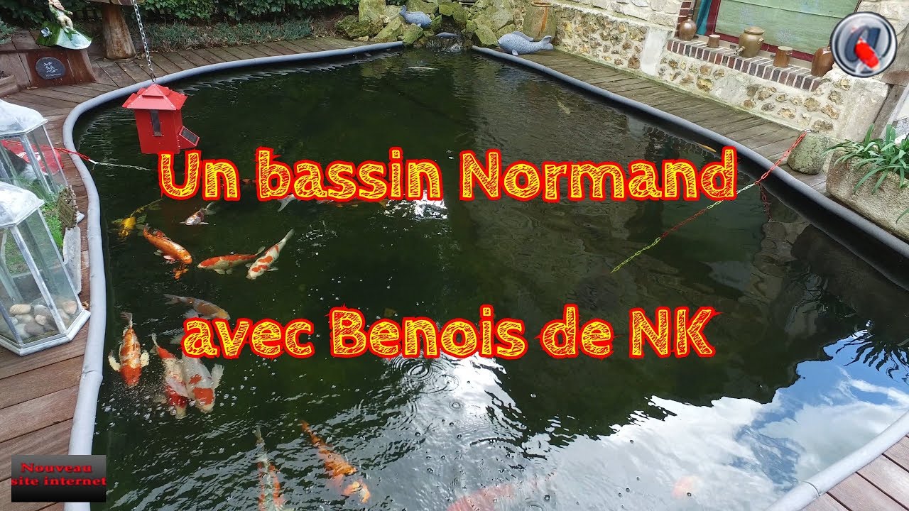 Un bassin Normand avec Benoit de NK