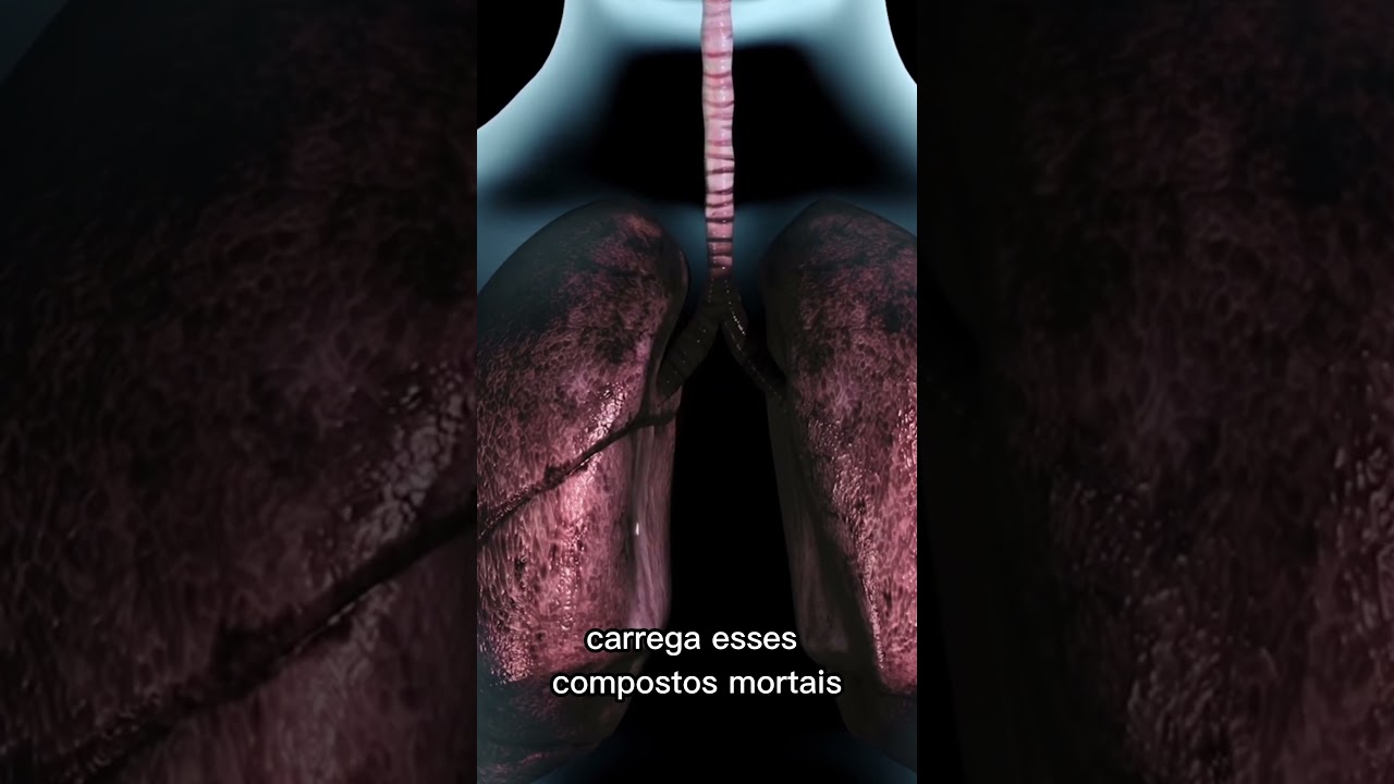Como o Cigarro Afeta os Pulm&otilde;es