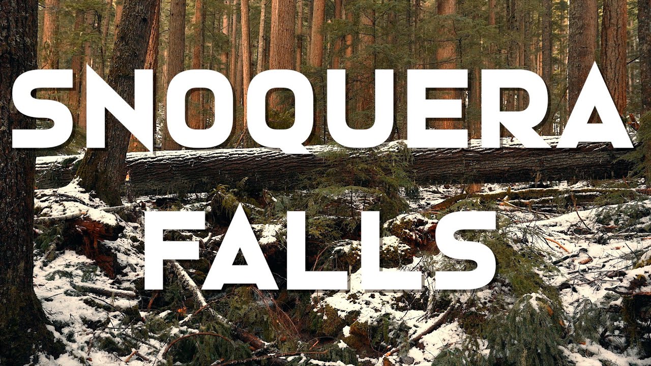 Snoquera falls hike in January 2026