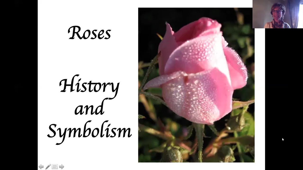 IUN Community Garden: History and Symbolism of Roses - 2021