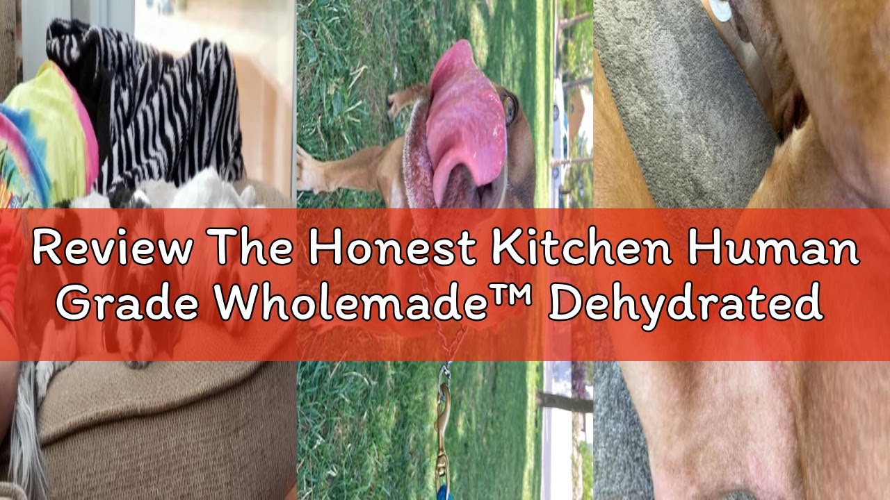 Review The Honest Kitchen Human Grade Wholemade™ Dehydrated Limited Ingredient Dog Food, Fish 10 lb