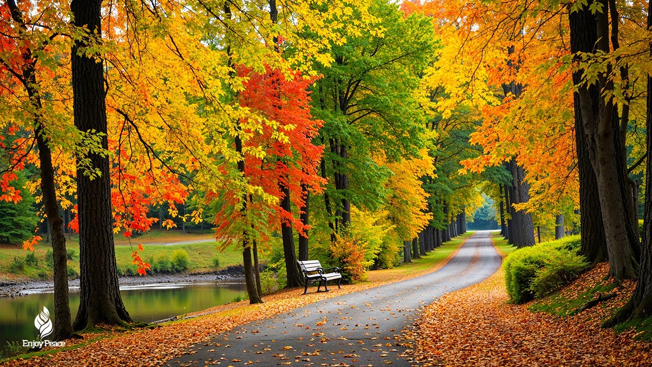 Music therapy 🍁 Autumn Melodies for Stress Relief & Healing