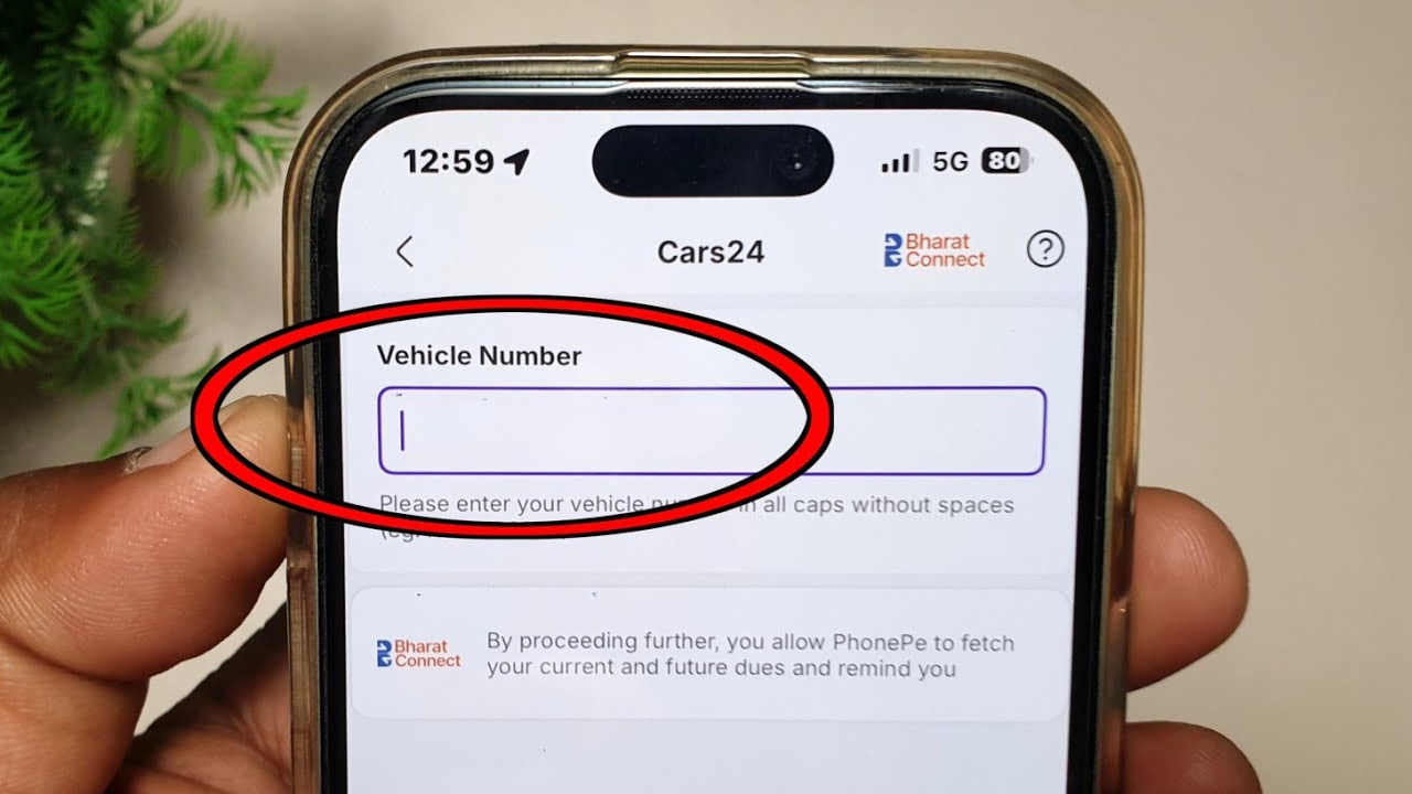 What is a vehicle number? What to put in a vehicle number? What does a vehicle number mean?