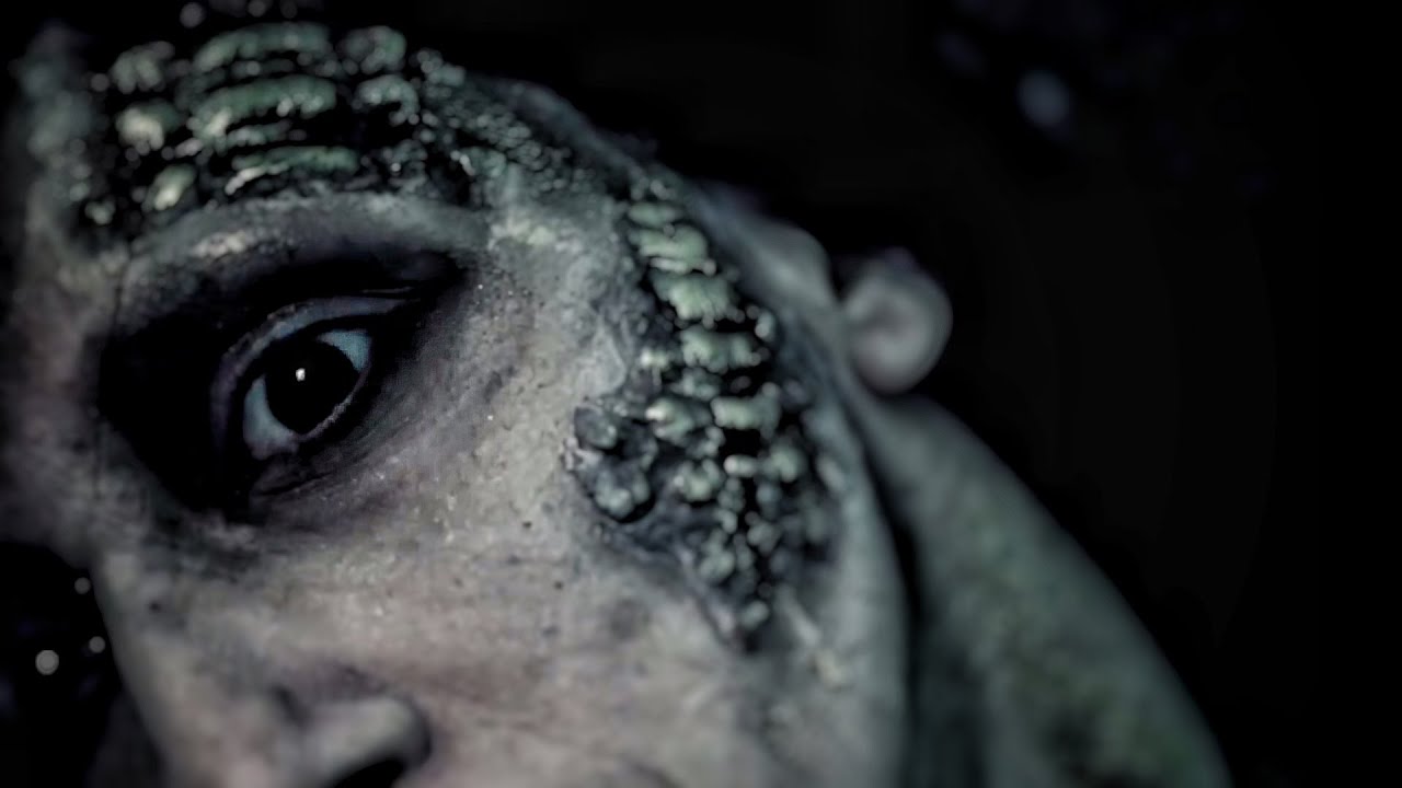 Dimlight - Invoking The Hunter (official video clip)
