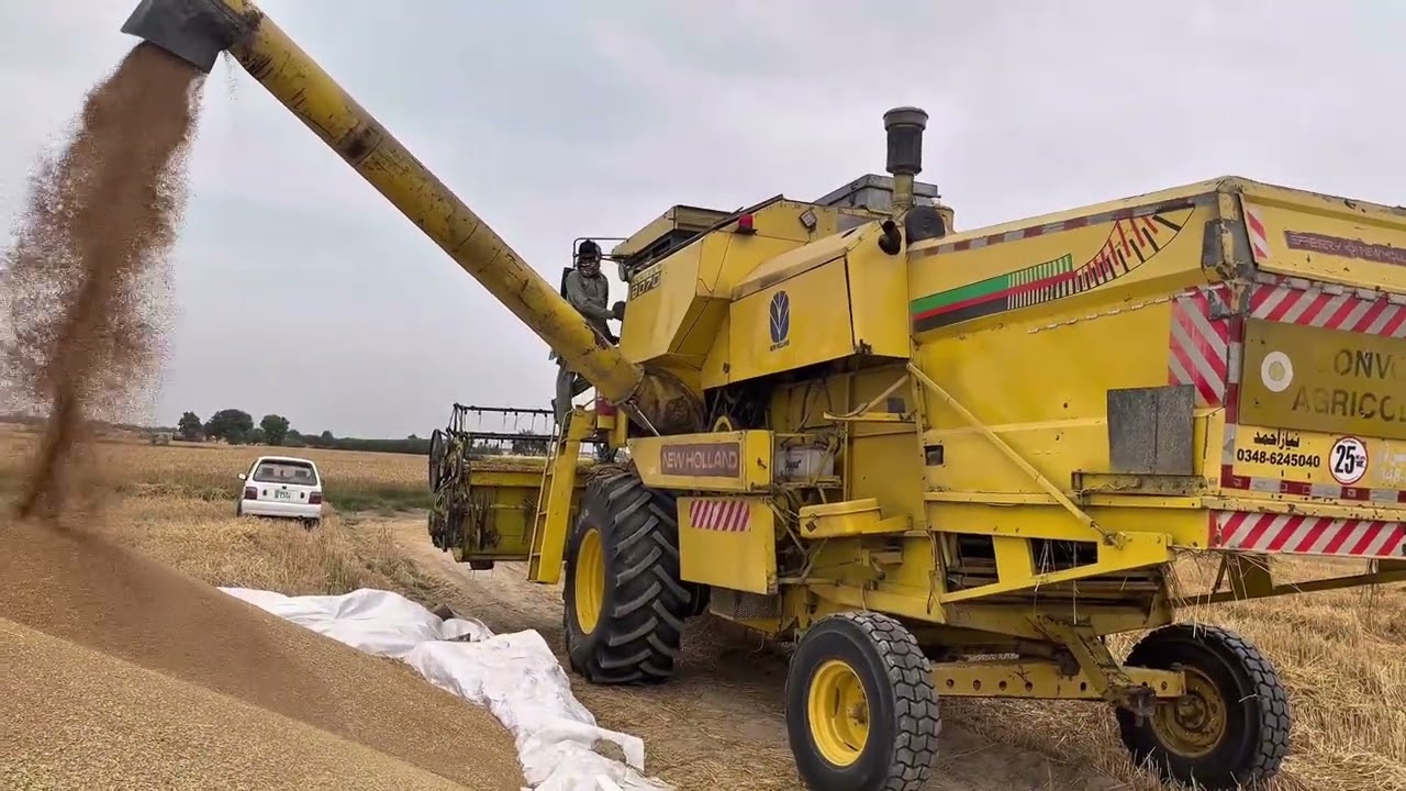 Satisfying Wheat Harvesting with Combine Harvester 🌾 | Modern Farming in Pakistan 2026