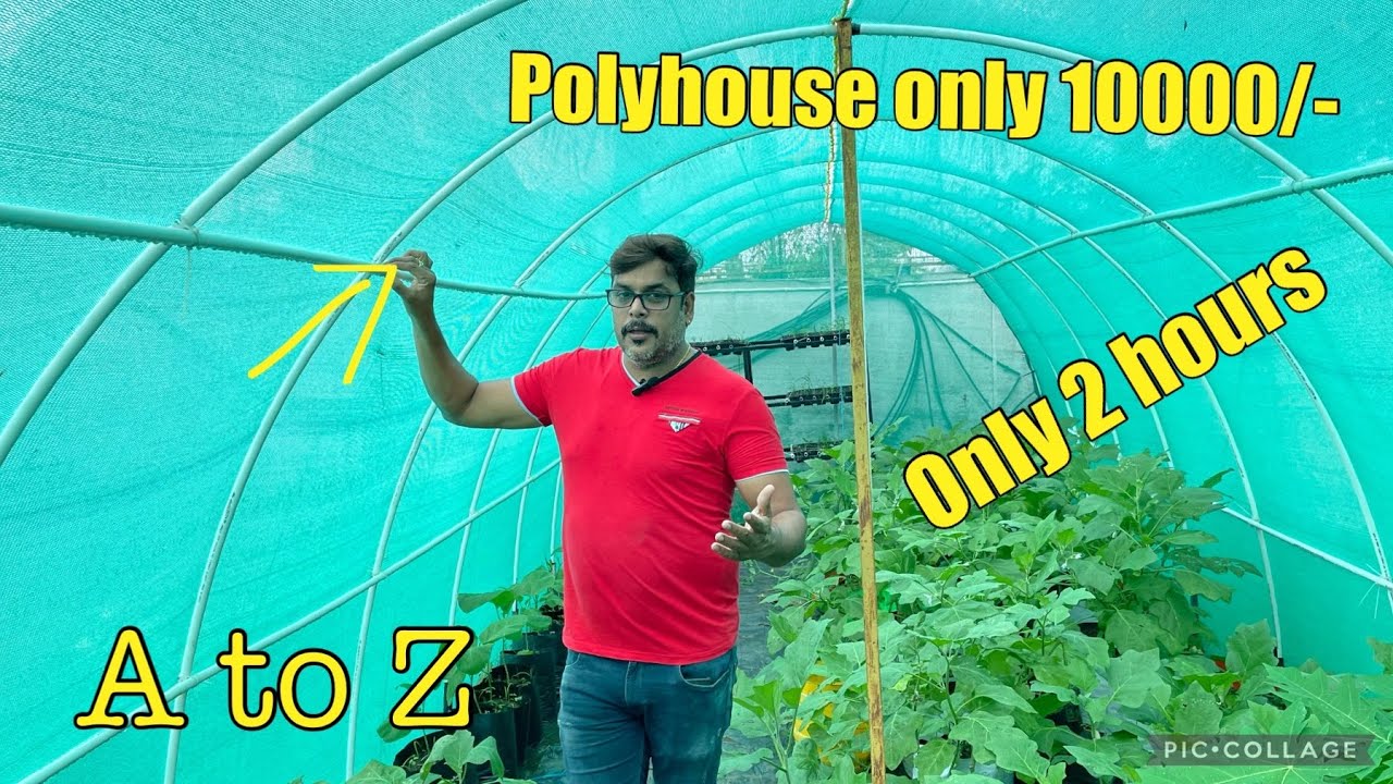 पॉली हाउस कैसे बनाएं. Only 10000/- . Polyhouse farming in india. Polyhouse construction. 