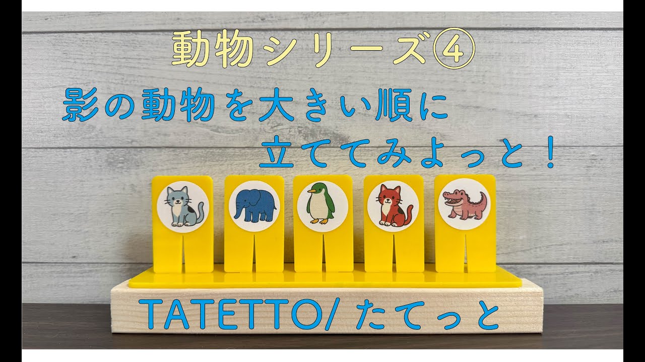動物シリーズ④影の動物を大きい順に立ててみよっと！【TATETTO】