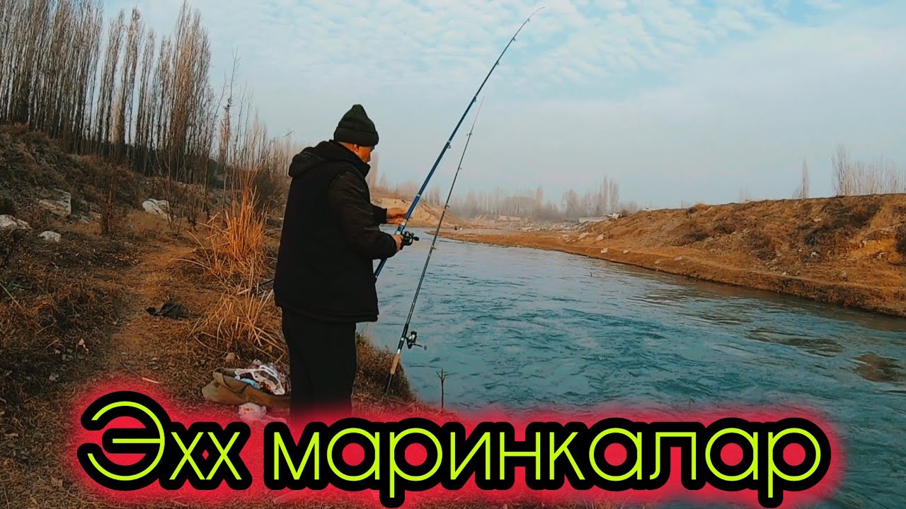 БУ МАРИНКАЛАРНИ КИМ УШЛАЙДИ?