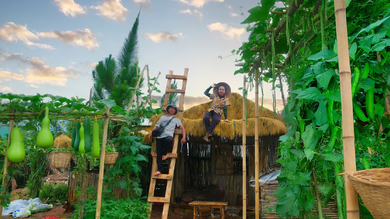 Restore An Old Roof – Harvest Vegetables And Fruits To Sell At The Market - Farming