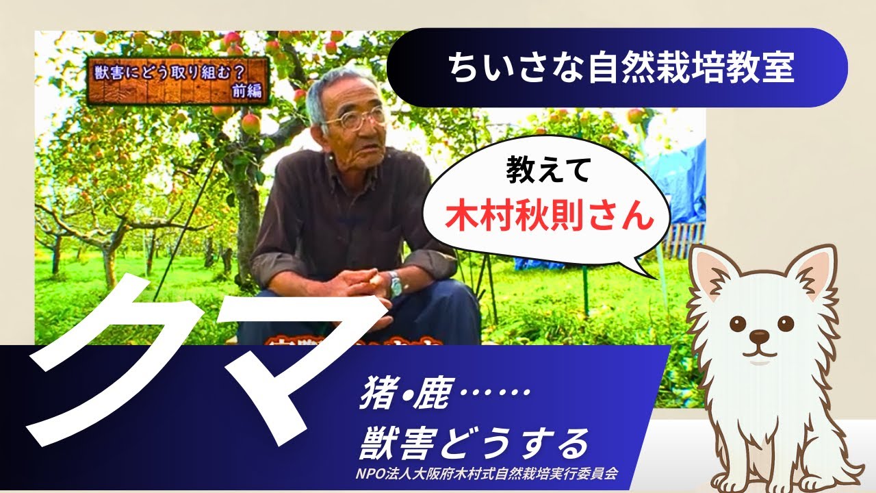 【自然栽培】クマ被害はみんなで対策することが大切【木村秋則さん】