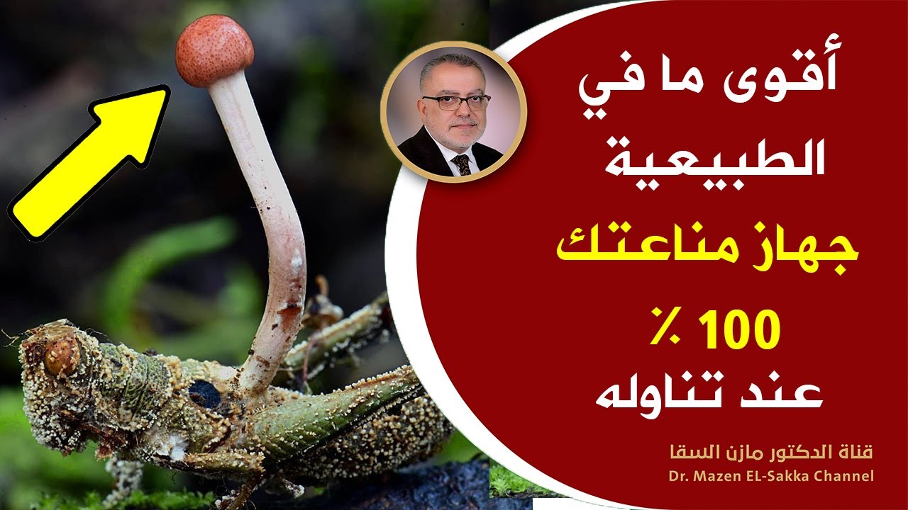 هبة ربانية طبيعية تحمي جهاز المناعة وتنظف الجسم من السموم وتحسن من صحة الدماغ وتقوي العظام والمفاصل