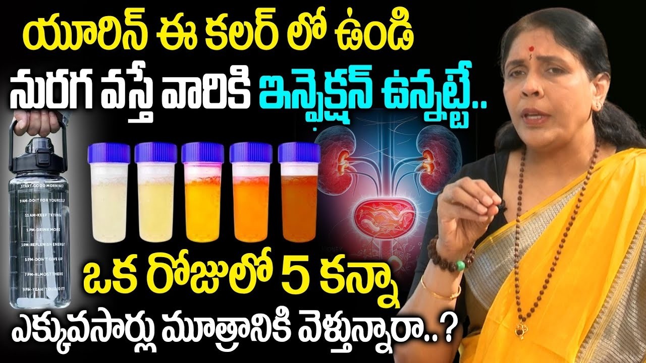 ఎక్కువసార్లు మూత్రానికి వెళ్తే ఏం జరుగుతుందో తెలుసా..? Urine Infection Symptoms | Aruna Devi