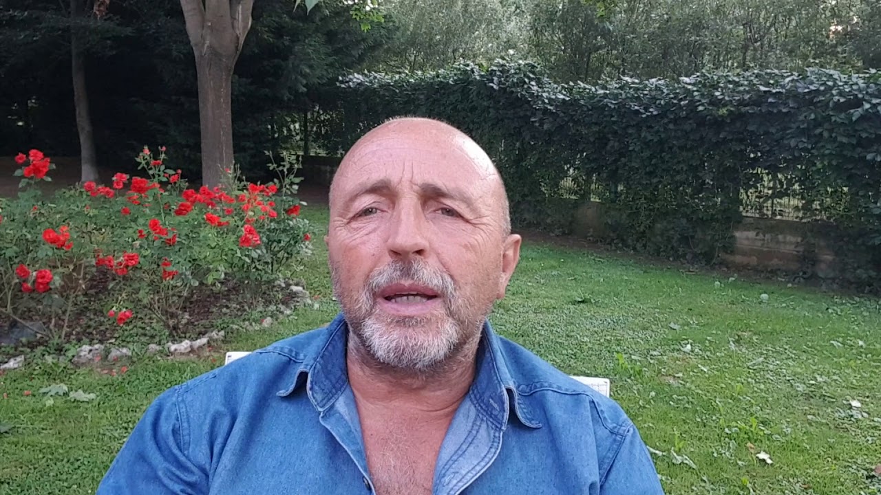 Quanti Cani Anti Lupo Sono Necessari Per Proteggere Il Bestiame?