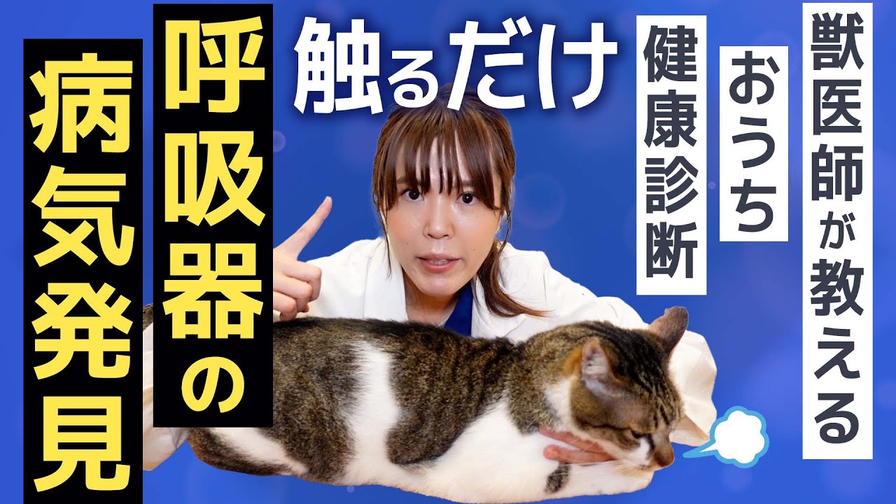犬や猫の病気を早く見つけて命を守る！ 呼吸の怖い病気を早く見つける方法知ってますか？