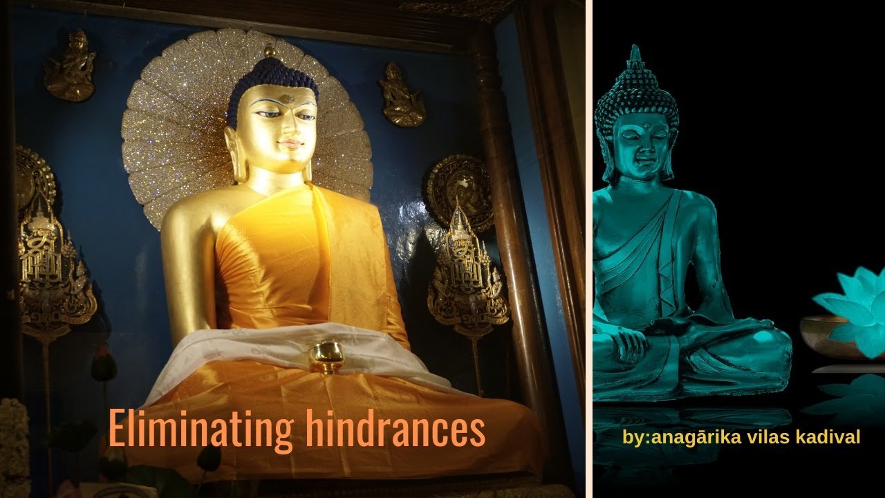 Removing hindrances to reach Anagami stage