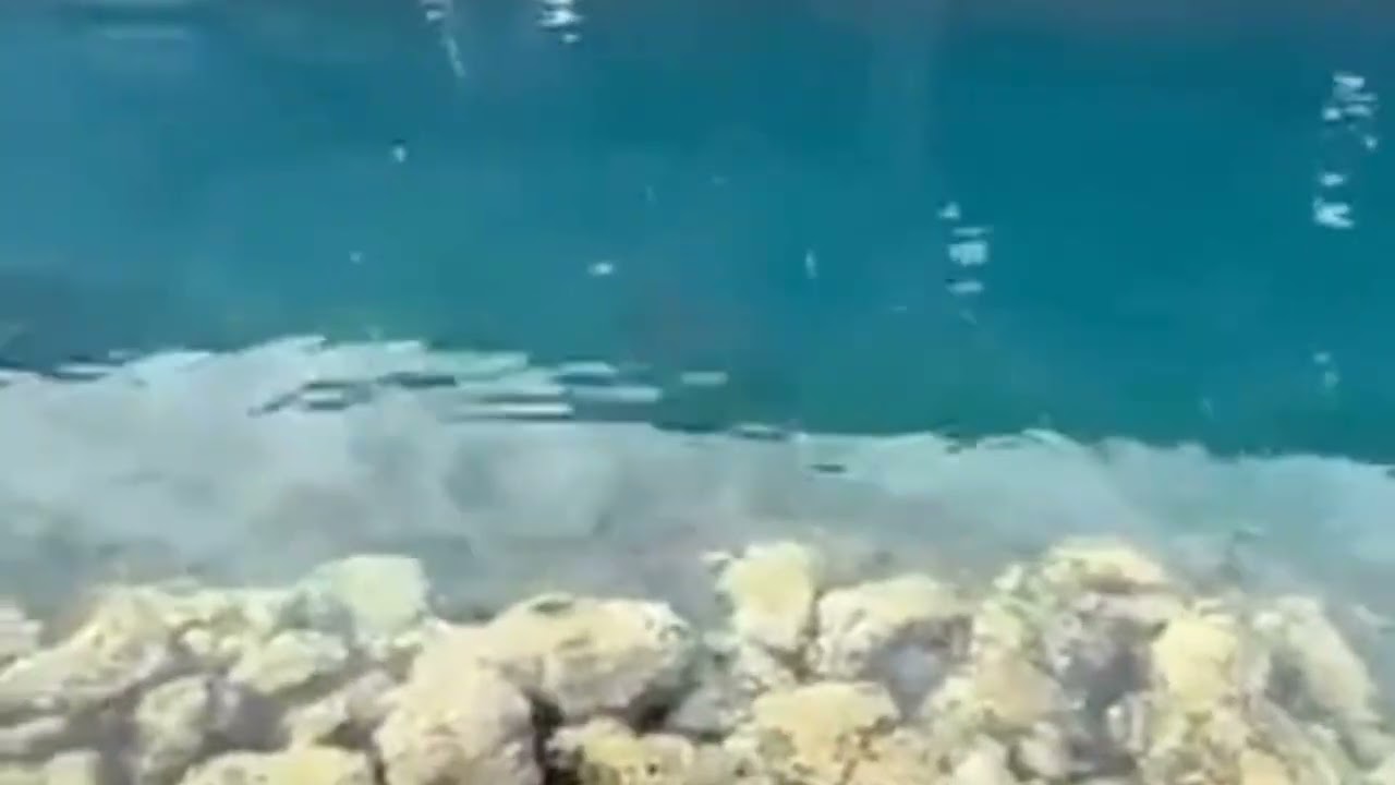 O Paraíso Azul | Blue Paradise | Le Paradis Bleu 🌊🇵🇫