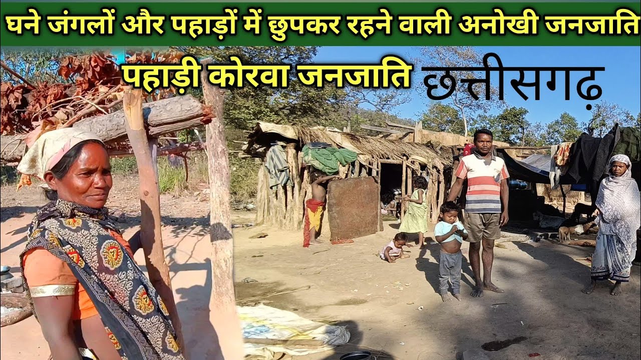 जंगलों में छुपकर रहने वाली पहाड़ी कोरवा जनजाति छत्तीसगढ़    Hill Korwa Tribe chhattisgarh