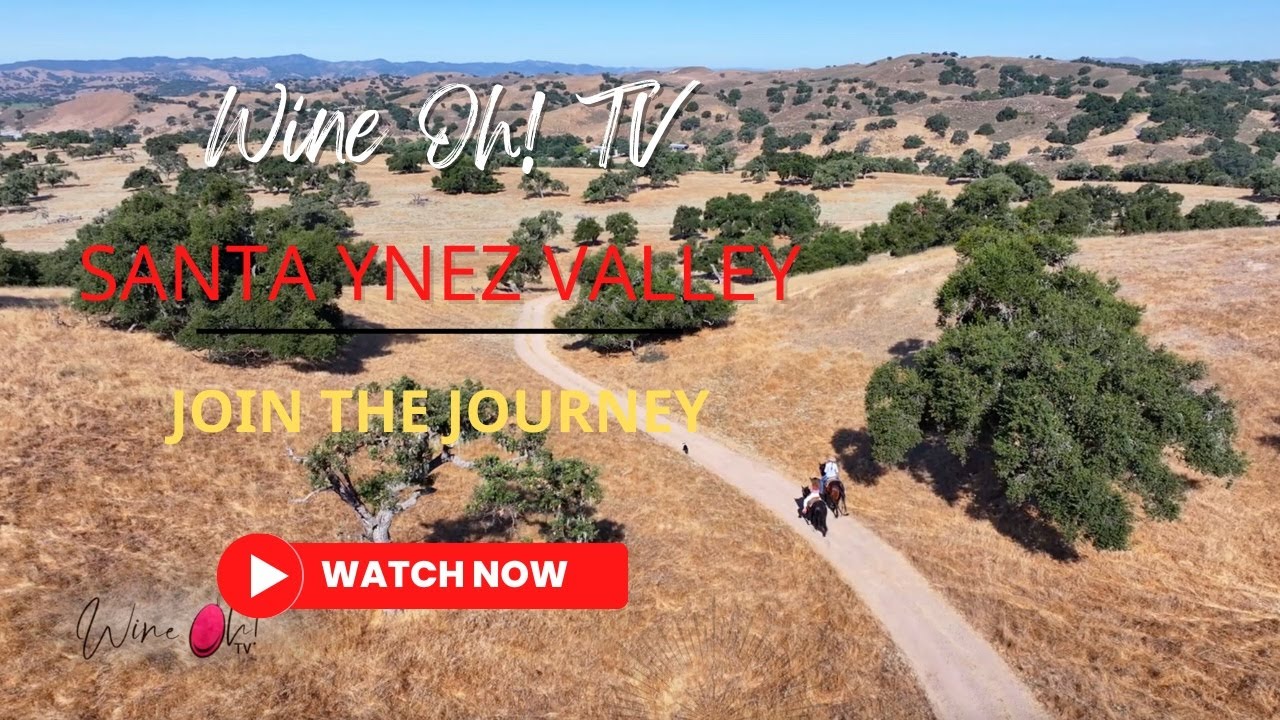 Explore Santa Ynez Valley: The Ultimate Sideways Wine Tour & More Hidden Gems!