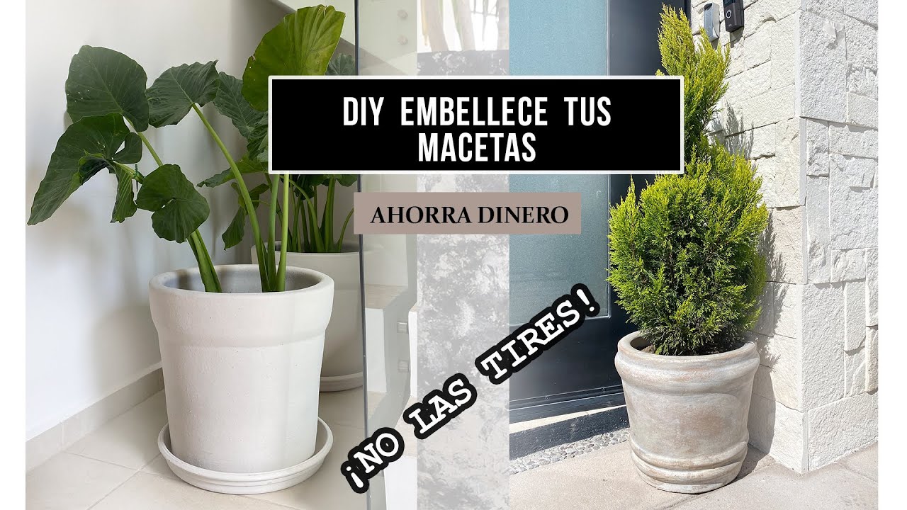 &iquest;C&Oacute;MO PINTAR una MACETAS? DIy FACIL y BARATO | INTERIORES