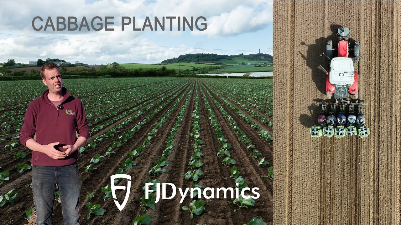 Planting Cabbage 2025 - FJ Dynamics RL Produce Customer Testimonial