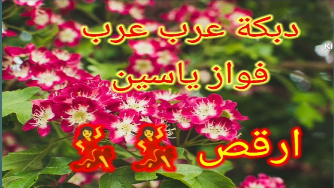اجمل ما سمعت للمطرب فواز ياسين ابو باسل -ادبك مع عتابا الشعب💃💃😍