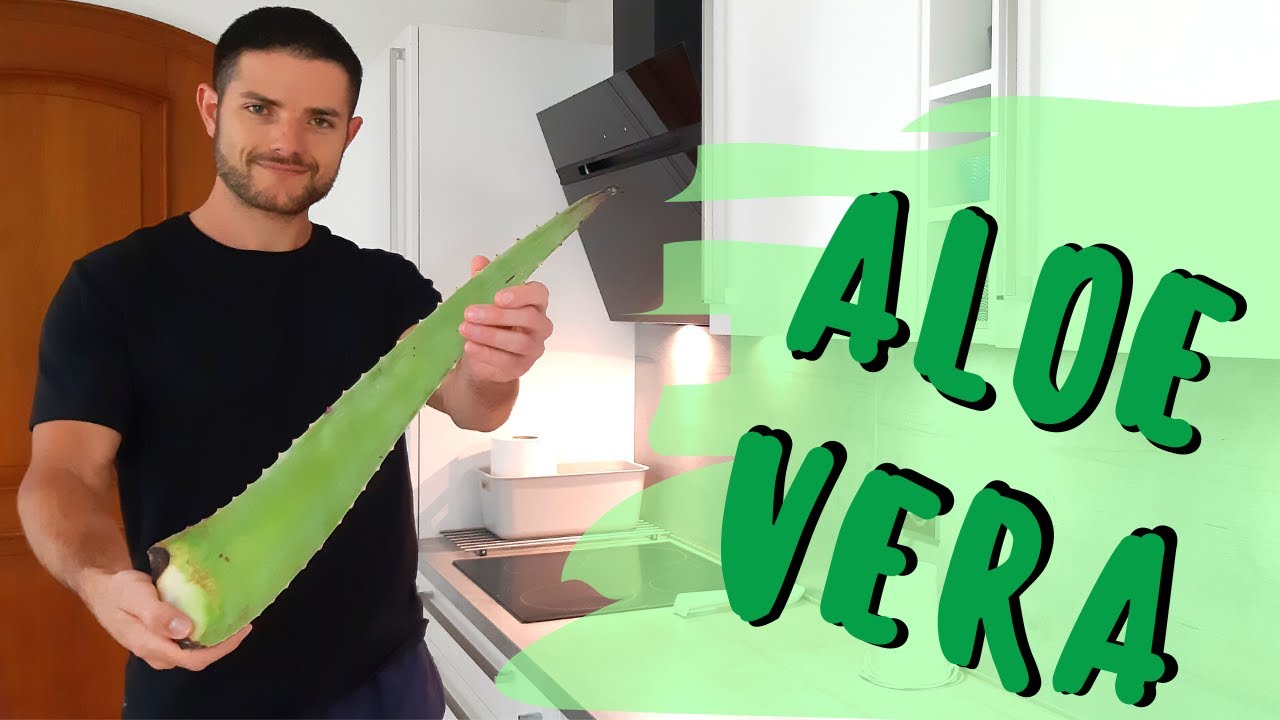 Comment préparer les feuilles d'aloe vera (TUTO)