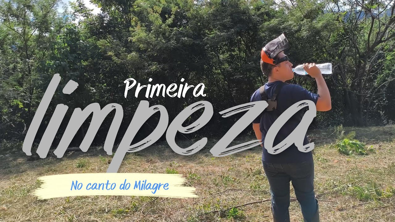 Primeira Limpeza do Terreno - O Início de um Grande Projeto!