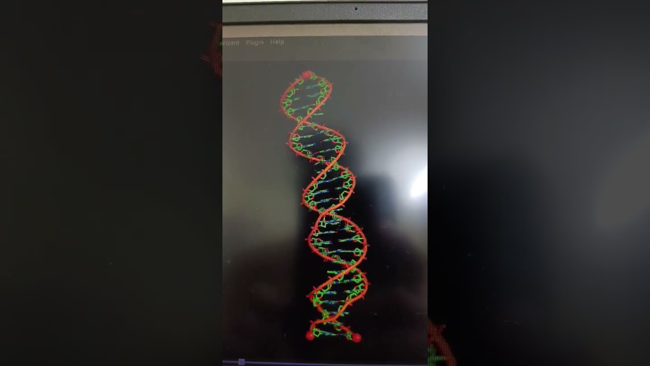 Pymol DNA Animation