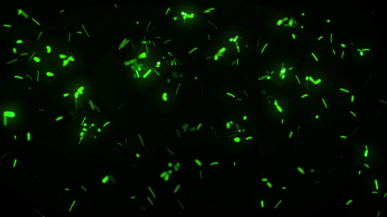 green spark light particle background loop animation - Download Stock Footage