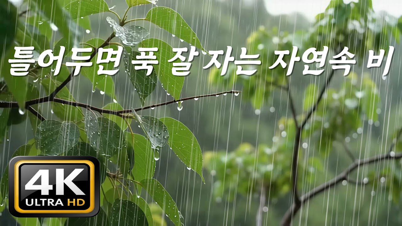 틀어두면 잠 잘 자는 자연속 빗소리, [중간광고없음]10분후 검은화면, 생각 없이 깊어지는 편안한 수면 사운드, ASMR