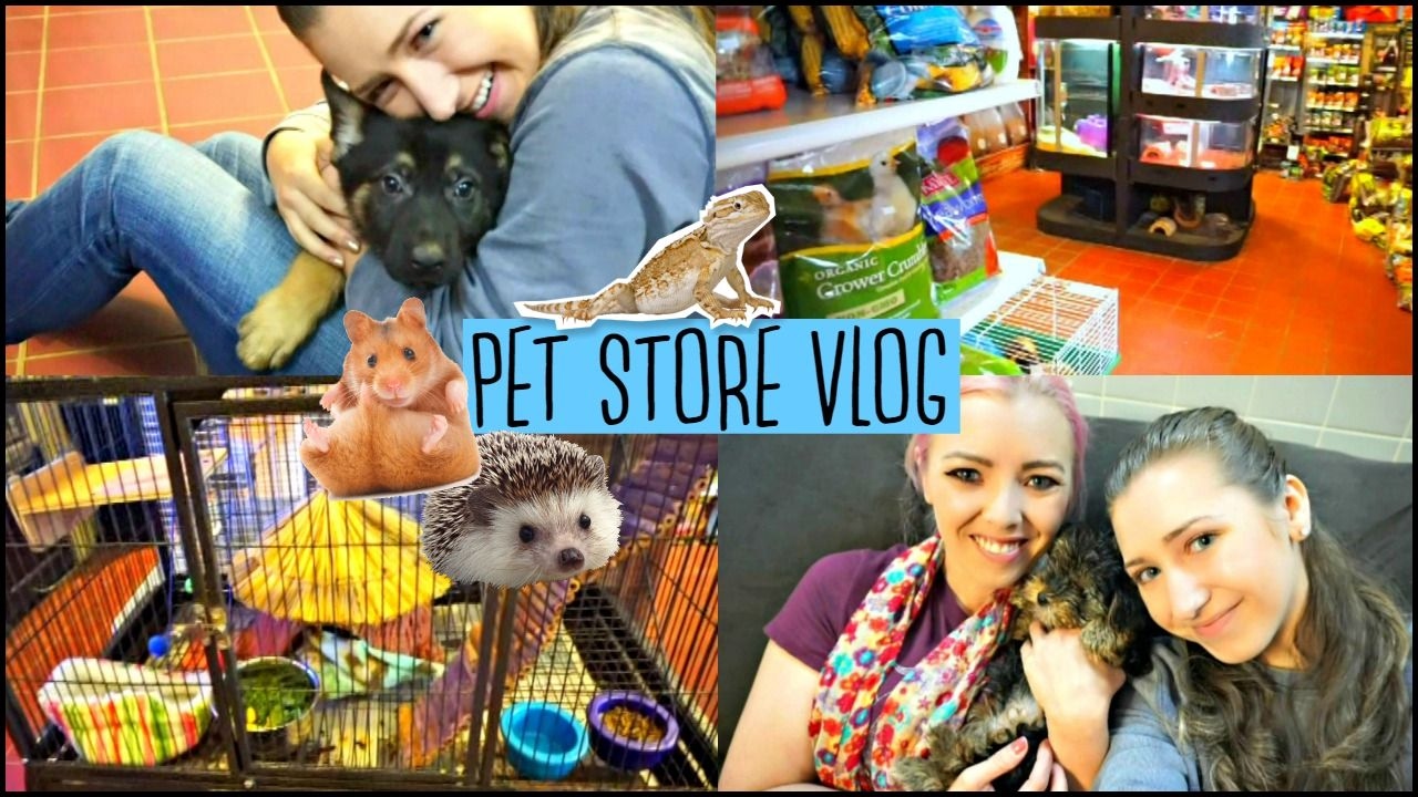 PET STORE VLOG | Hamsters, Hedgehogs, Reptiles and More!