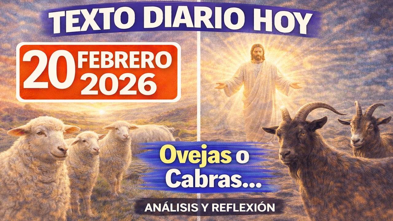 Texto Diario de hoy de los testigos de Jehová - VIERNES 20 DE FEBRERO 2026