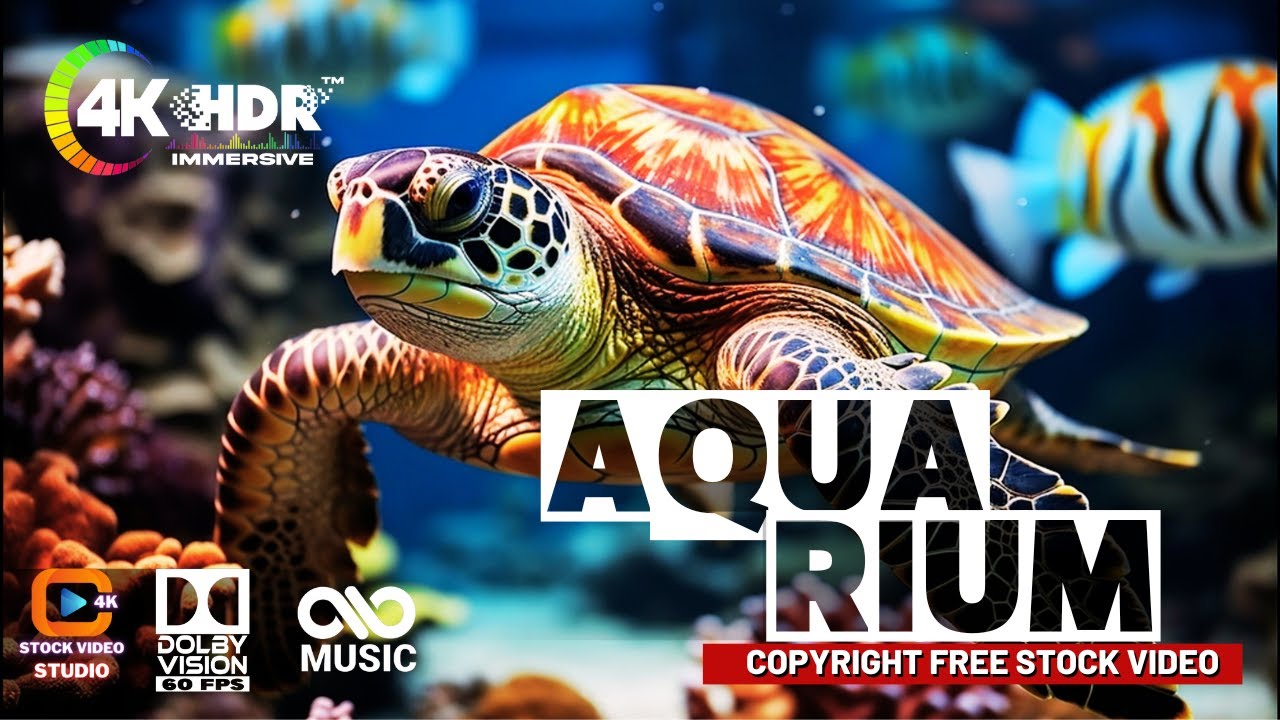 4K Colorful Aquarium Beautiful Fish & Relaxing Music