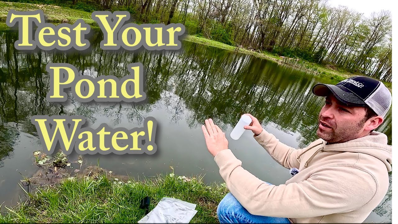 Testing Pond Water- The Best way to find out the Problem!